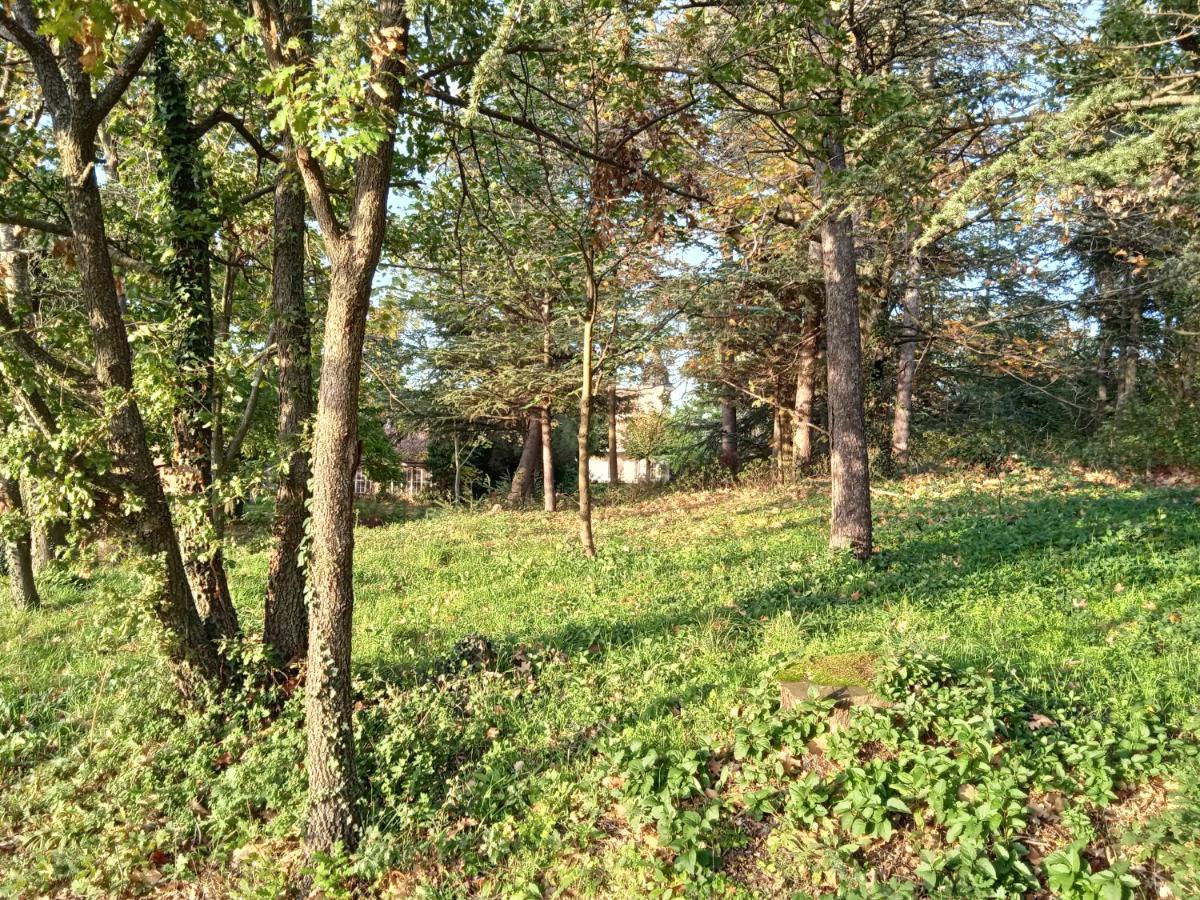 Maison Calme Avec Piscine Entouree De Son Parc * Quintenas